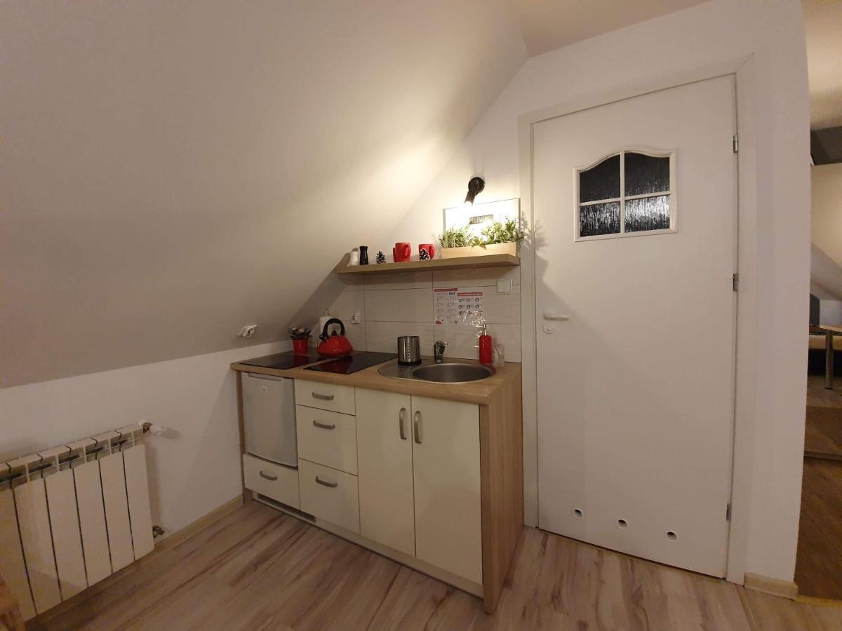 Apartament Jaskier Zakopane Buitenkant foto