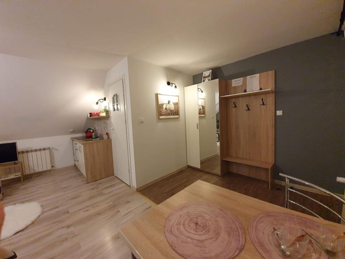 Apartament Jaskier Zakopane Buitenkant foto